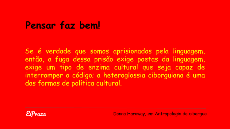 Pensar faz bem com Donna Haraway