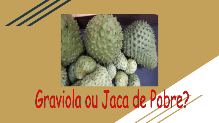 Graviola e Jaca de Pobre