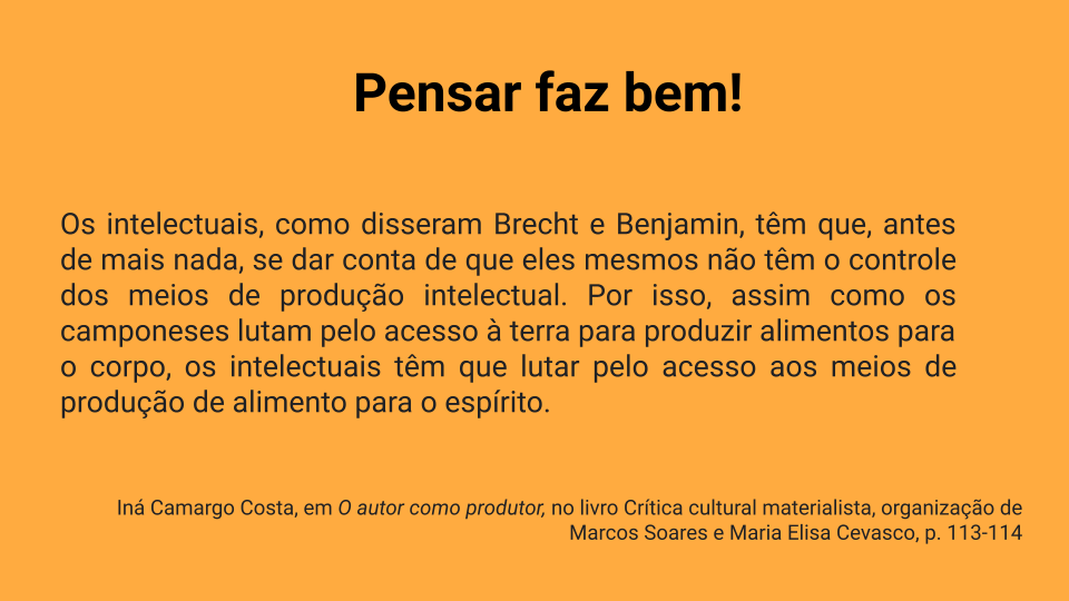 Cartazes EPraxe - Iná Camargo